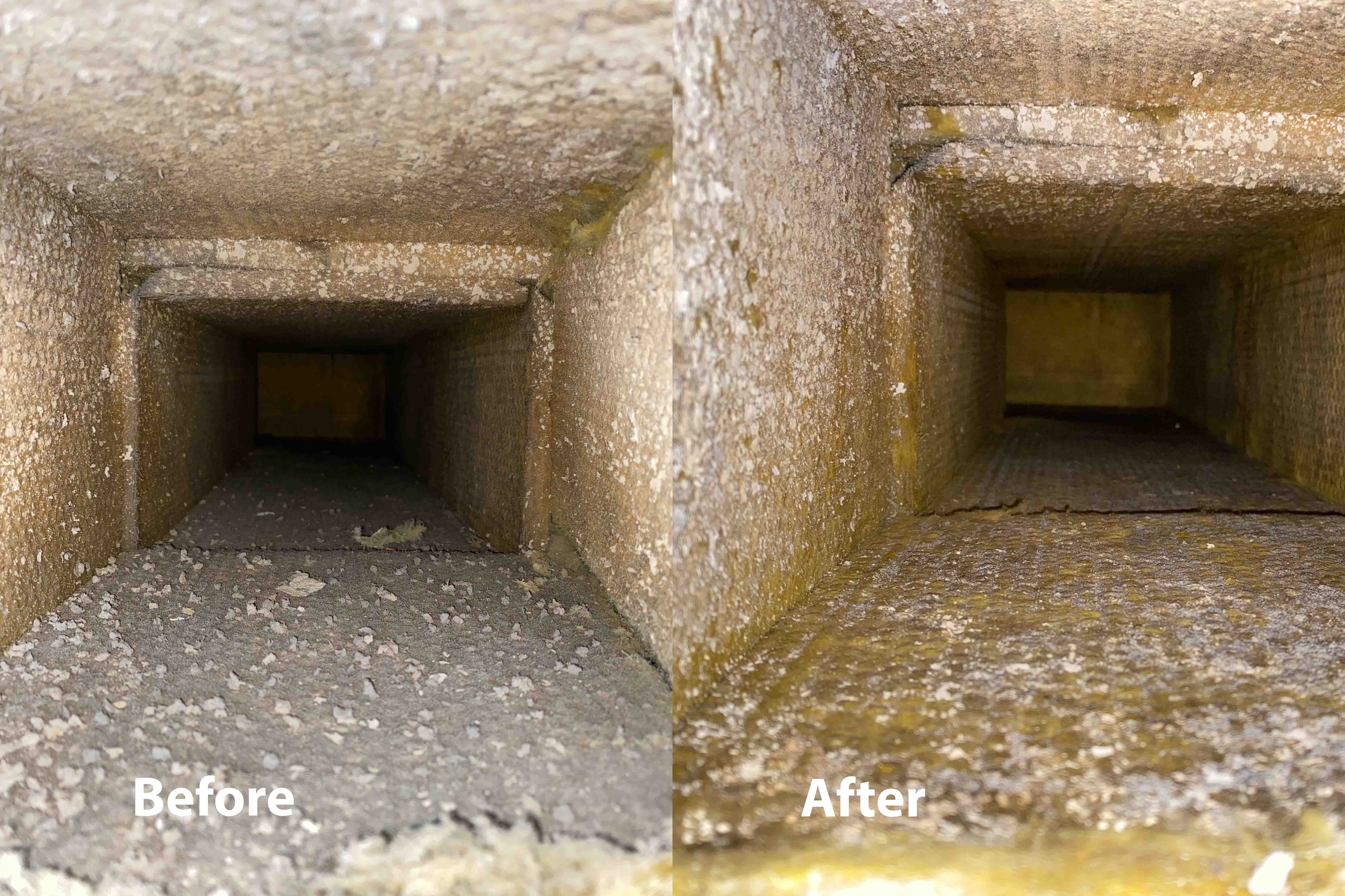 ADCS before after picture 0006