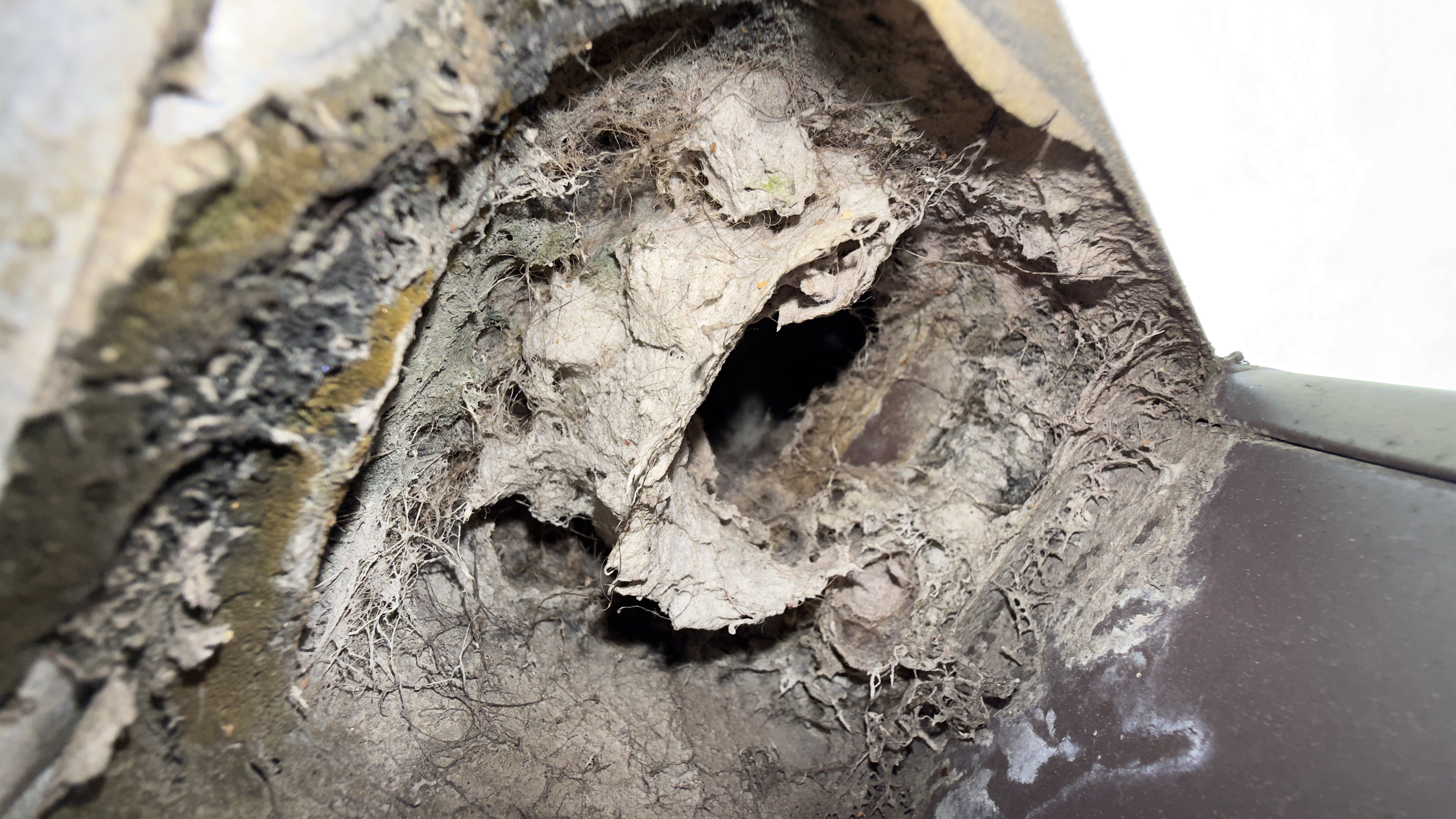 Dryer vent lint buildup before cleaning near Occoquan VA